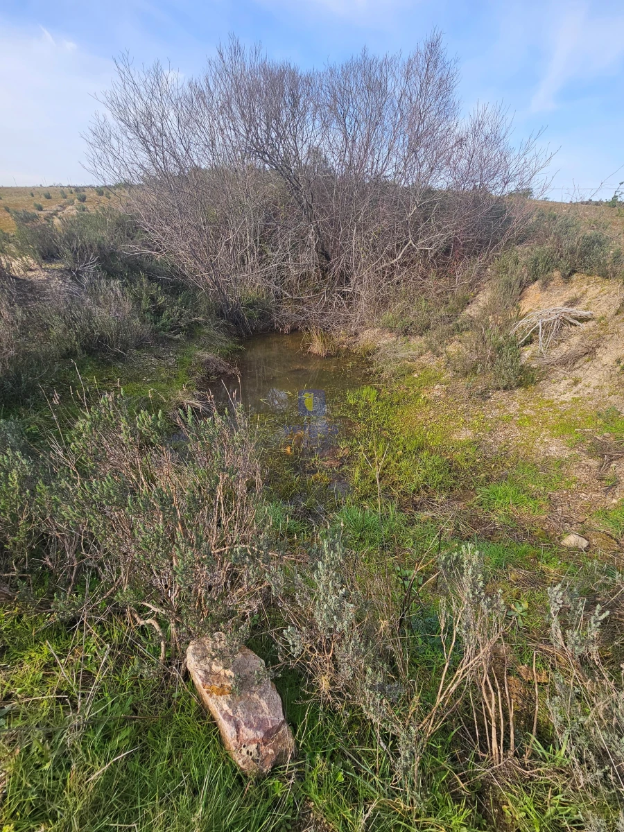 Terreno Agricola ou Rústico para Venda em São Miguel de Acha Foto 9