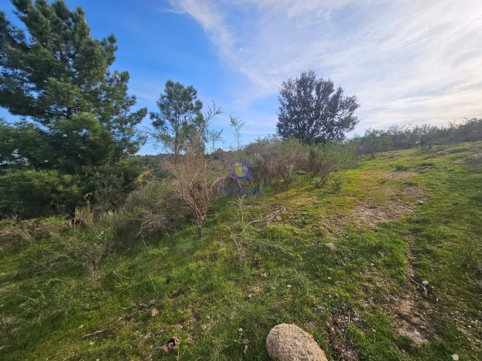 Terreno Agricola ou Rústico para Venda em São Miguel de Acha Foto 6