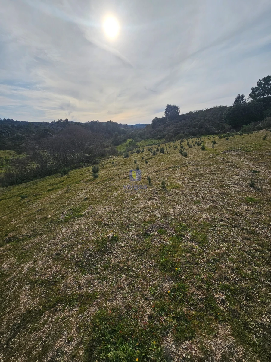 Terreno Agricola ou Rústico para Venda em São Miguel de Acha Foto 16