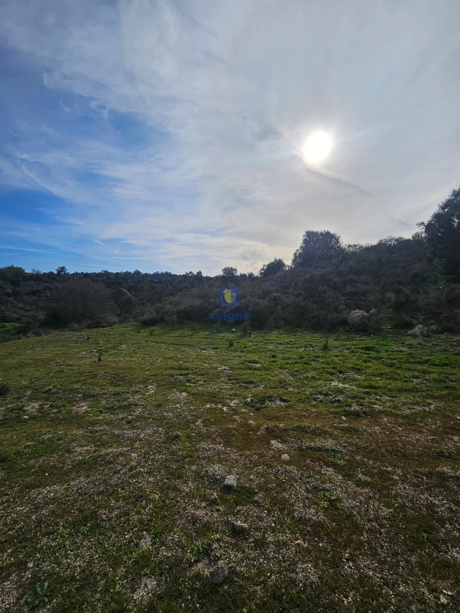 Terreno Agricola ou Rústico para Venda em São Miguel de Acha Foto 8
