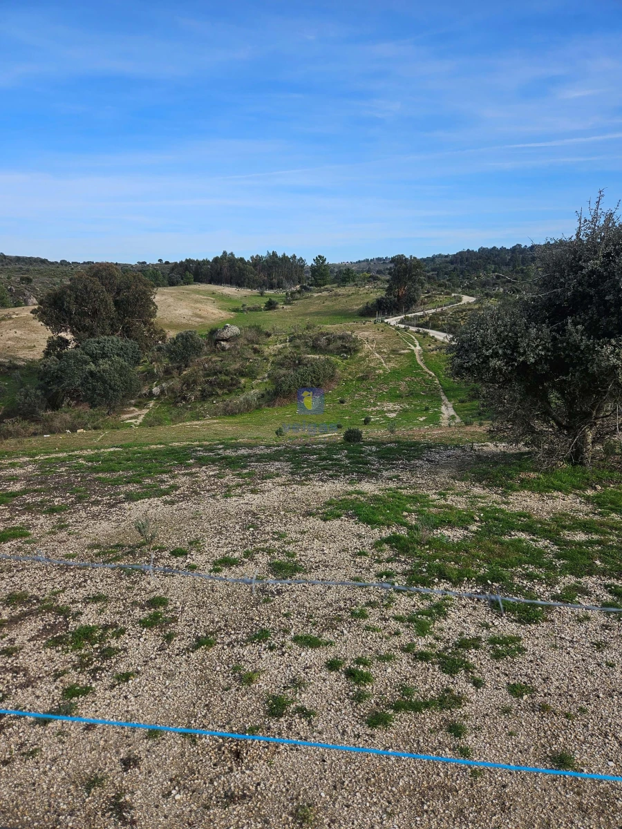 Terreno Agricola ou Rústico para Venda em São Miguel de Acha Foto 4