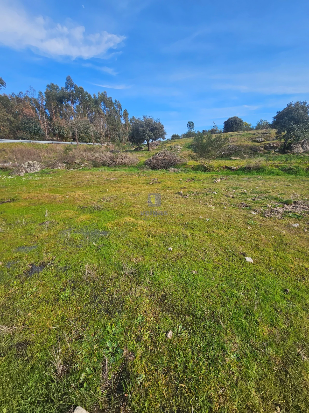 Terreno Agricola ou Rústico para Venda em São Miguel de Acha Foto 15