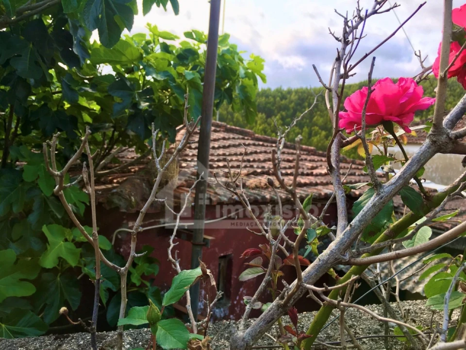 Quinta T3 para Venda em Campelo Foto 3