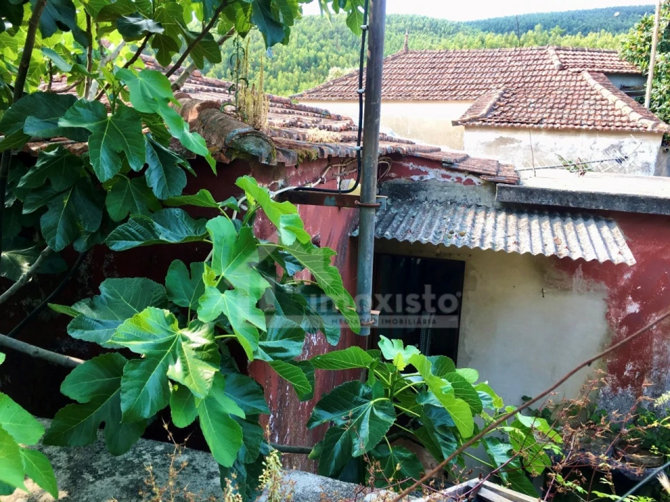 Quinta T3 para Venda em Campelo Foto 6