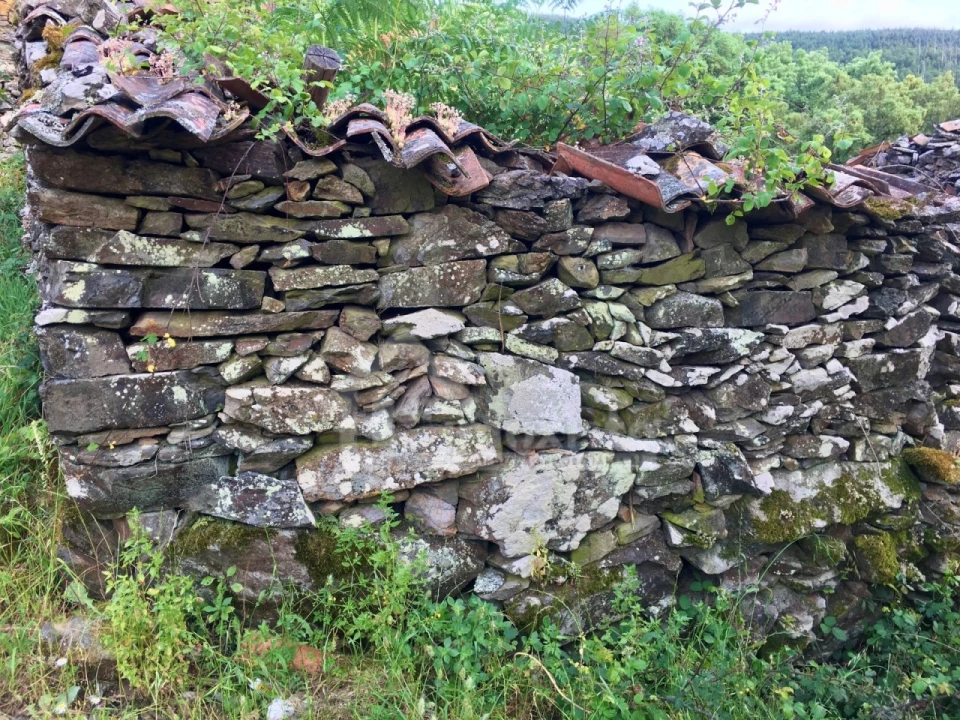 Quinta T3 para Venda em Campelo Foto 26