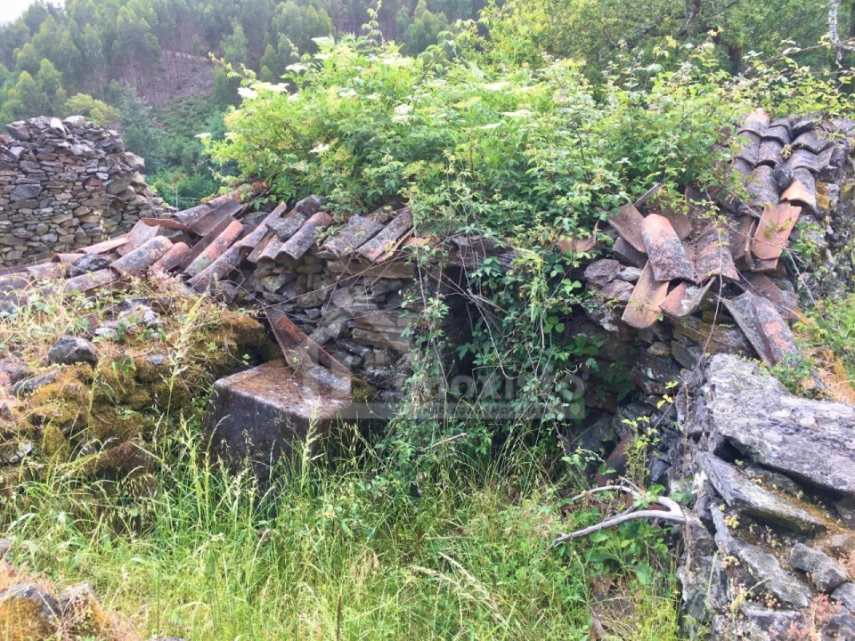 Quinta T3 para Venda em Campelo Foto 27