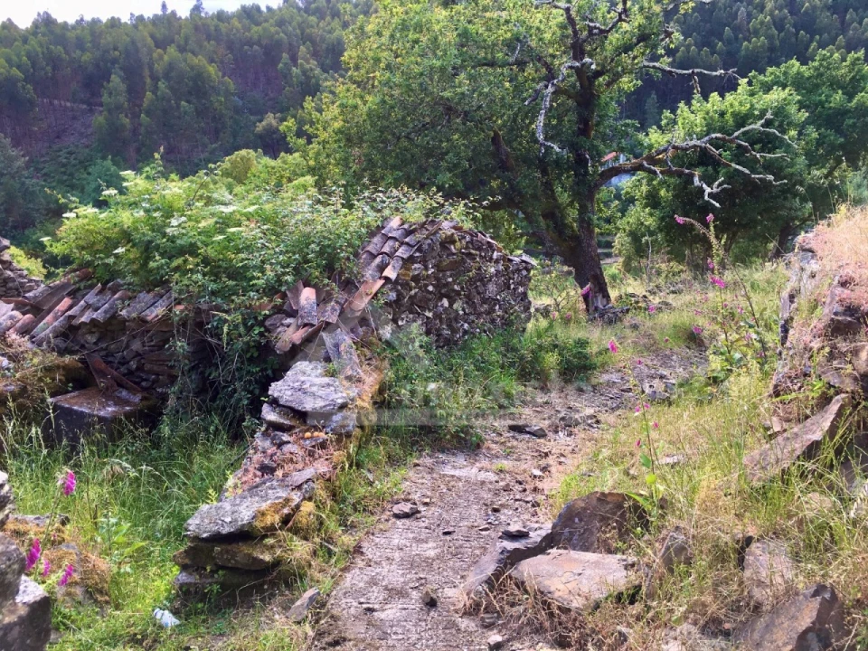 Quinta T3 para Venda em Campelo Foto 30