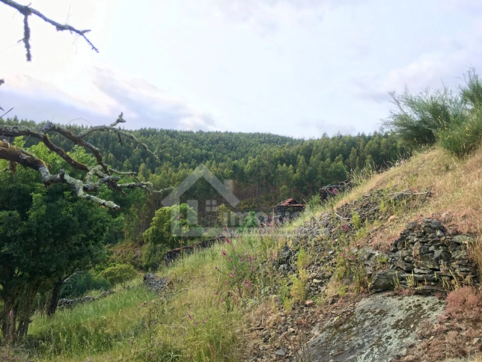 Quinta T3 para Venda em Campelo Foto 31