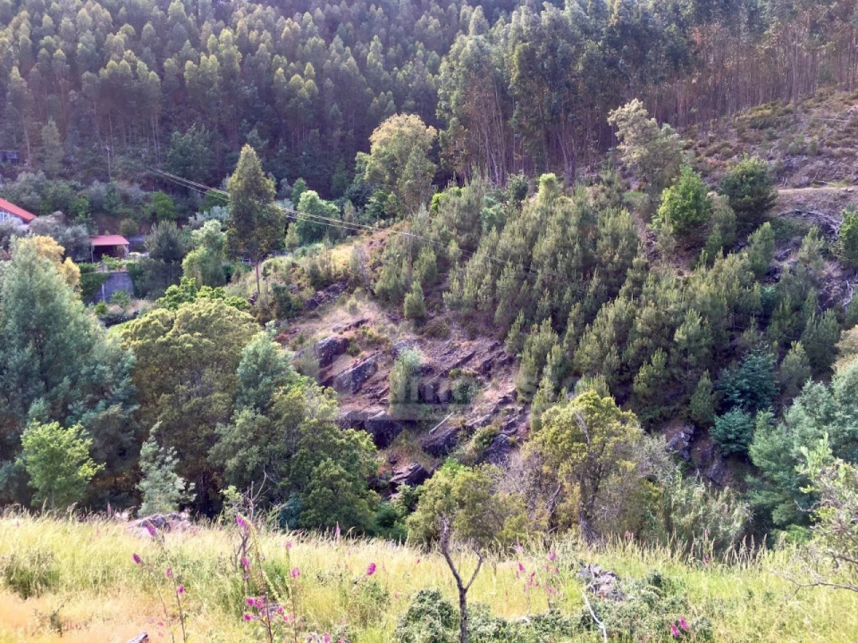 Quinta T3 para Venda em Campelo Foto 32