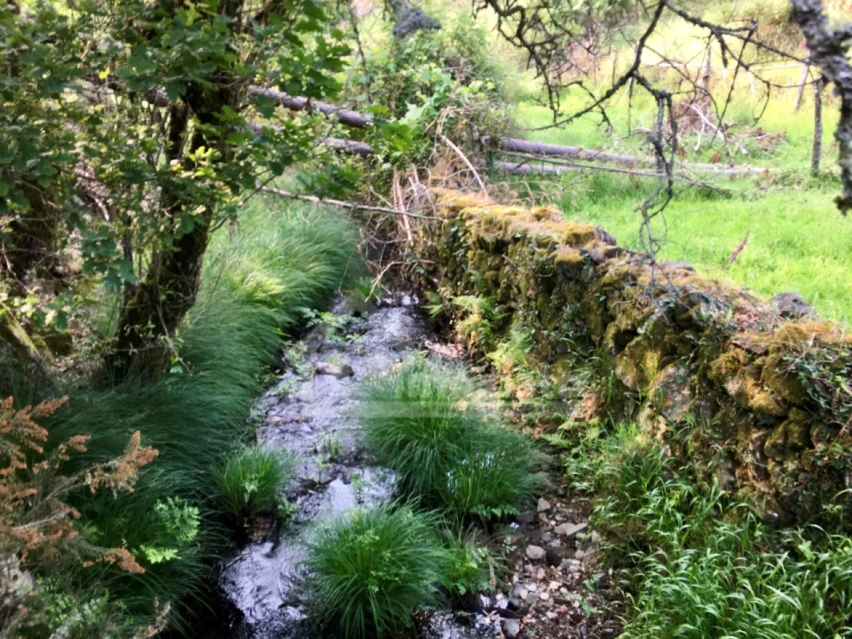 Quinta T3 para Venda em Campelo Foto 35