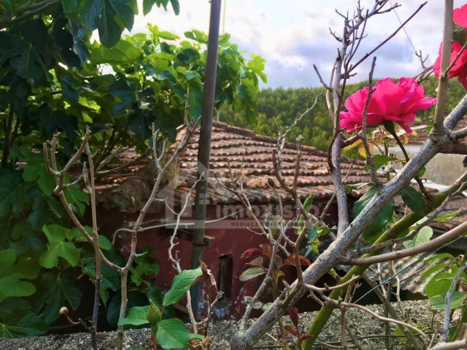 Quinta T3 para Venda em Campelo Foto 3