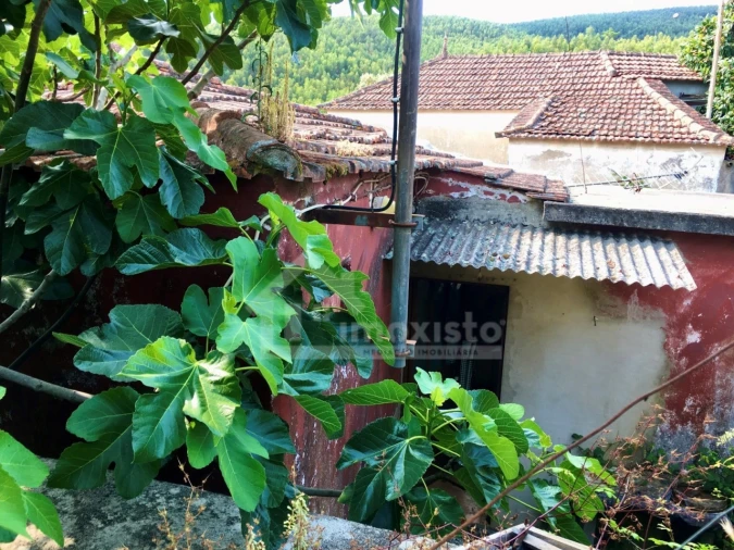 Quinta T3 para Venda em Campelo Foto 6