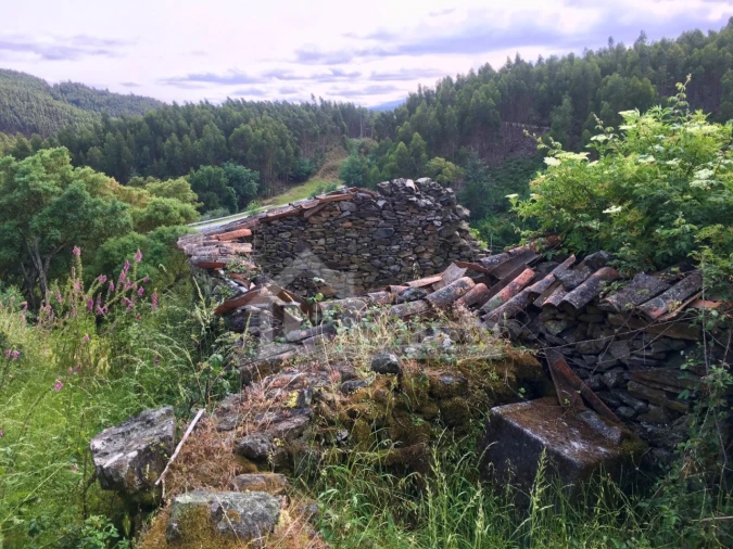 Quinta T3 para Venda em Campelo Foto 28