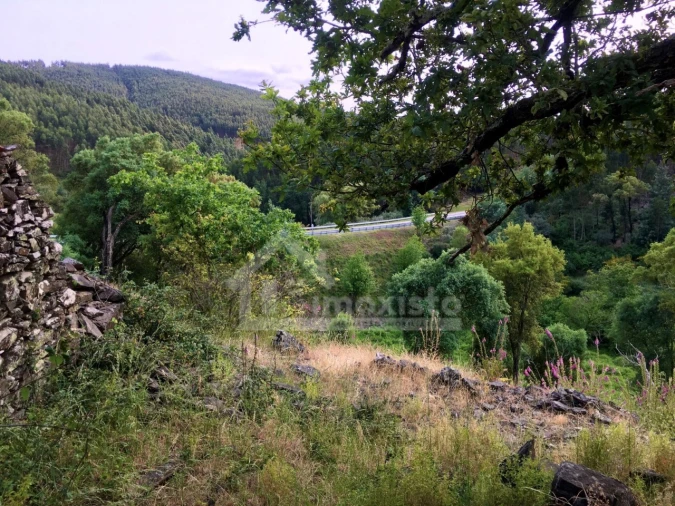 Quinta T3 para Venda em Campelo Foto 29