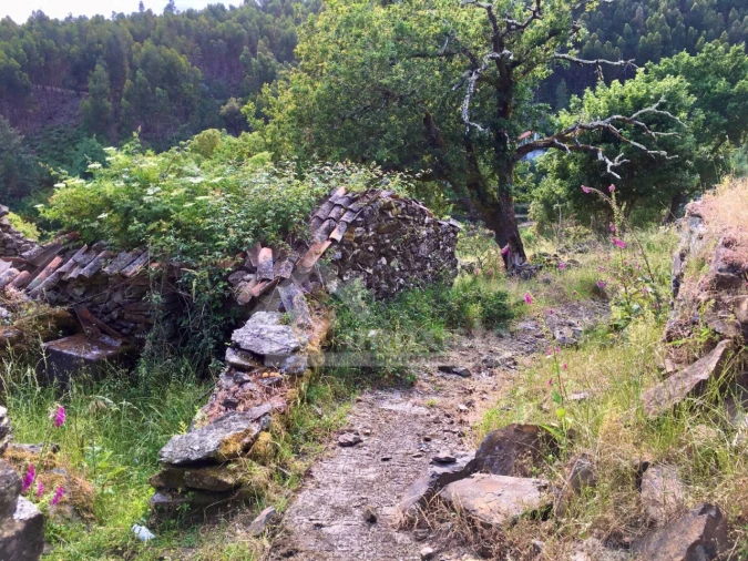 Quinta T3 para Venda em Campelo Foto 30