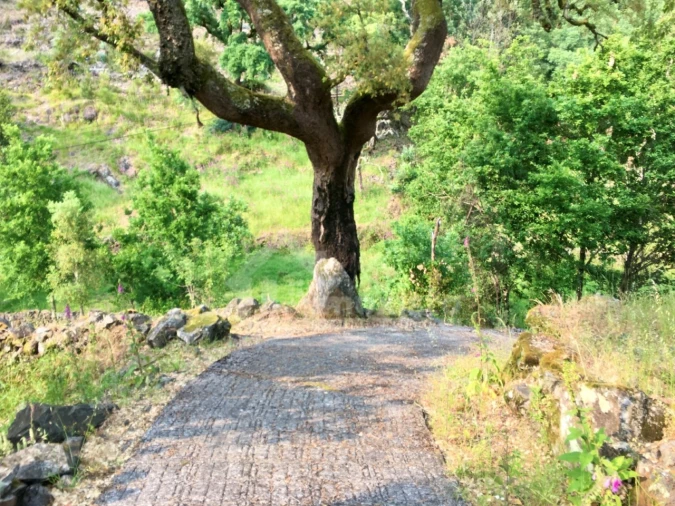 Quinta T3 para Venda em Campelo Foto 33