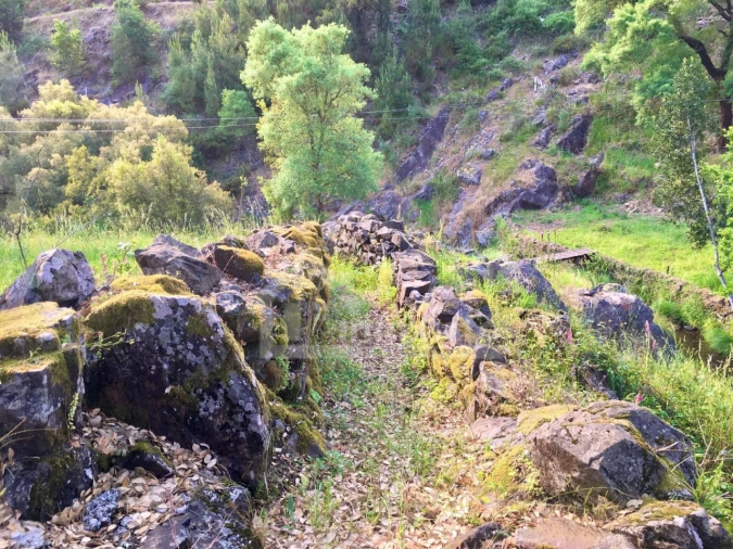 Quinta T3 para Venda em Campelo Foto 34