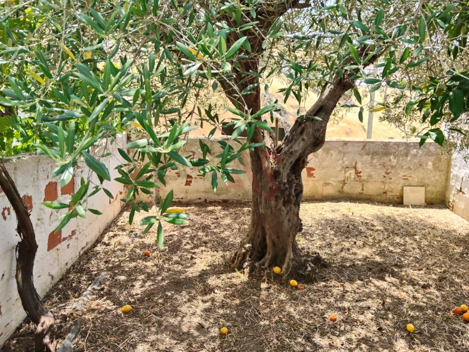 Moradia T3 para Venda em Safara e Santo Aleixo da Restauração Foto 13