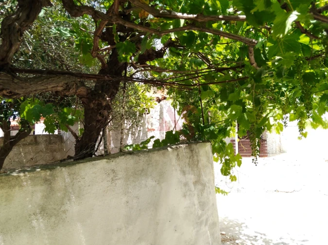 Moradia T3 para Venda em Safara e Santo Aleixo da Restauração Foto 14