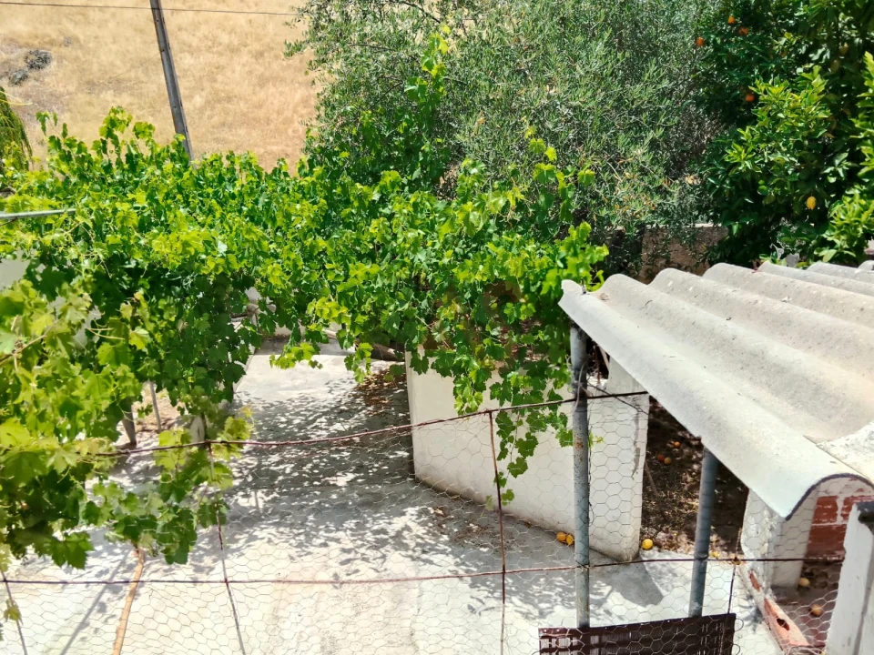 Moradia T3 para Venda em Safara e Santo Aleixo da Restauração Foto 9