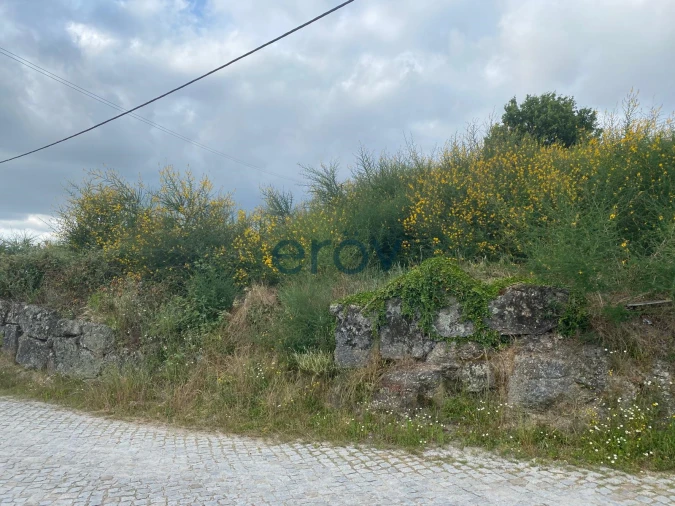 Terreno para Venda em Penafiel Foto 10