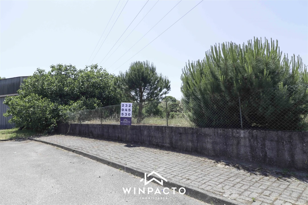 Terreno para Venda em Nelas Foto 3