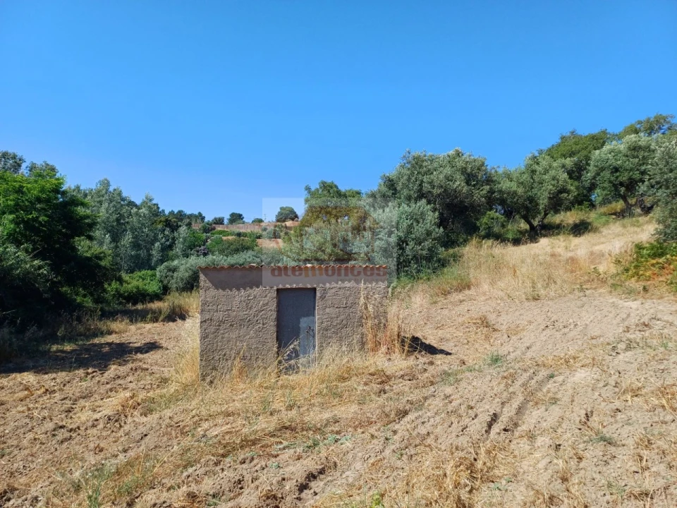 Terreno Agricola ou Rústico para Venda em Melides Foto 2