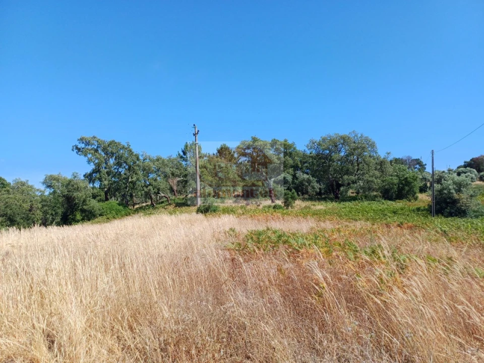 Terreno Agricola ou Rústico para Venda em Melides Foto 8