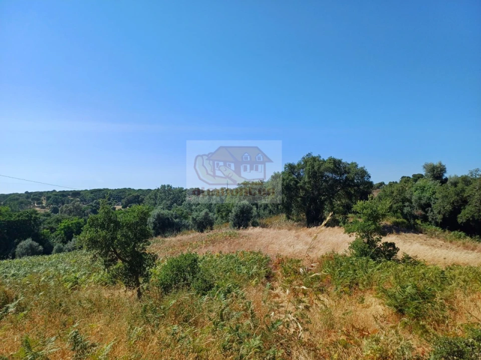 Terreno Agricola ou Rústico para Venda em Melides Foto 1