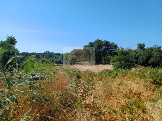 Terreno Agricola ou Rústico para Venda em Melides Foto 10
