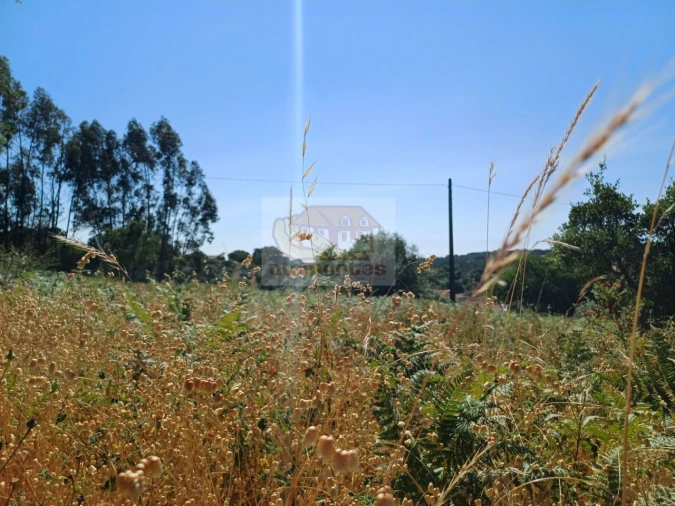 Terreno Agricola ou Rústico para Venda em Melides Foto 11