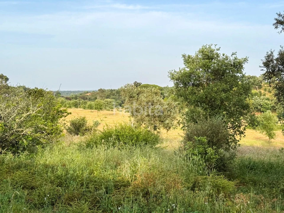 Quinta T2 para Venda em Cercal Foto 24