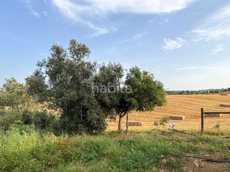 Quinta T2 para Venda em Cercal Foto 25