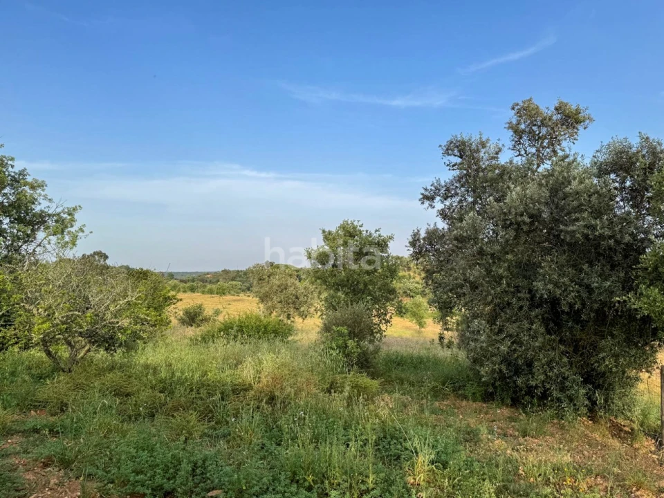 Quinta T2 para Venda em Cercal Foto 27