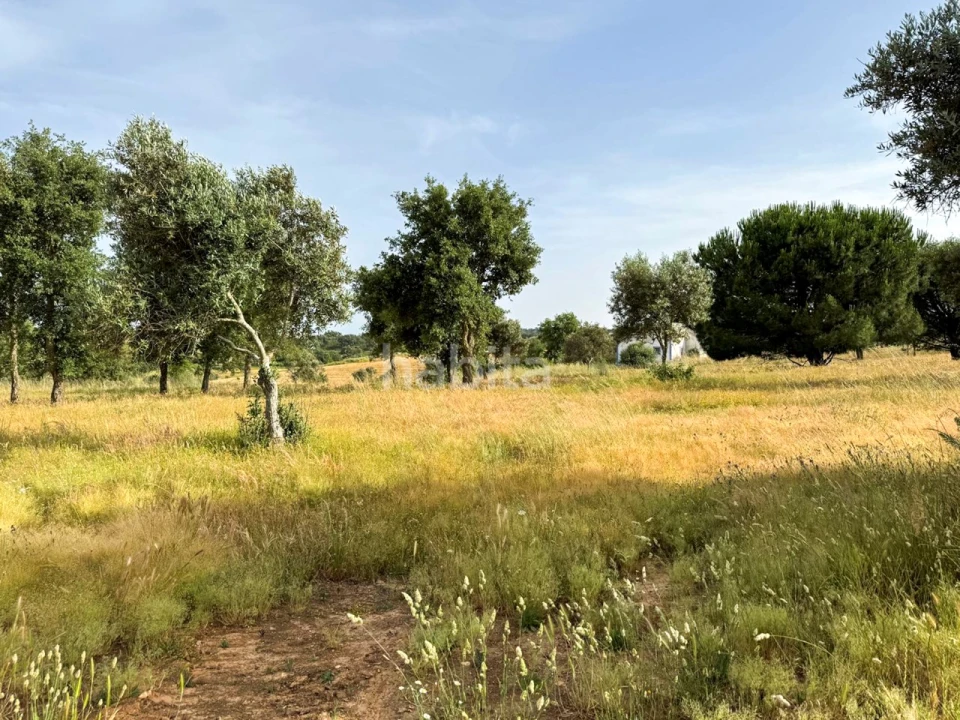 Quinta T2 para Venda em Cercal Foto 29