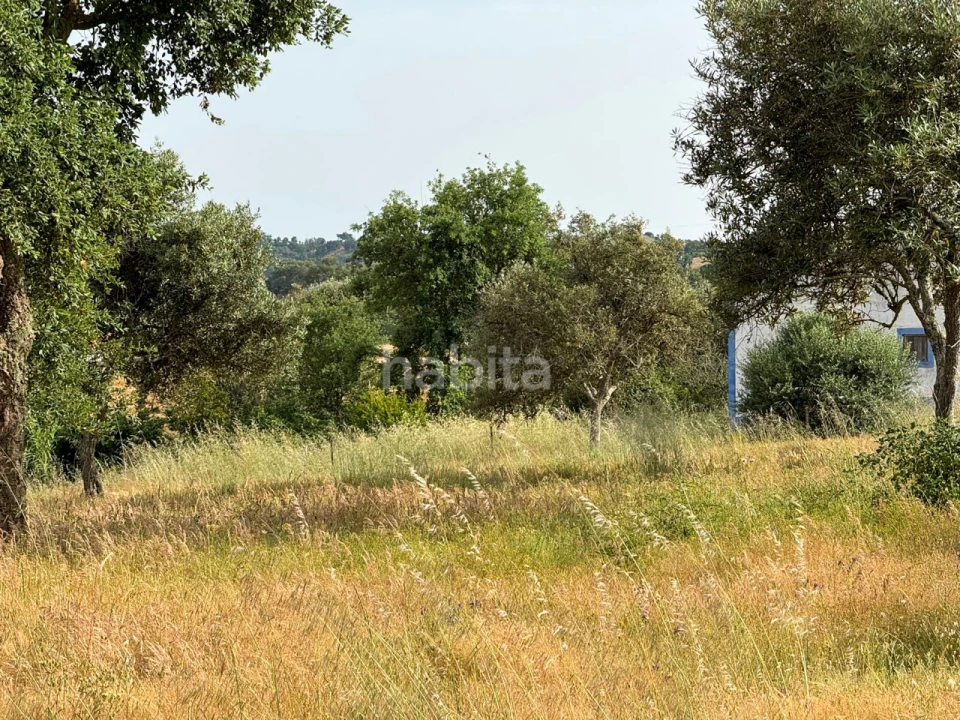 Quinta T2 para Venda em Cercal Foto 30