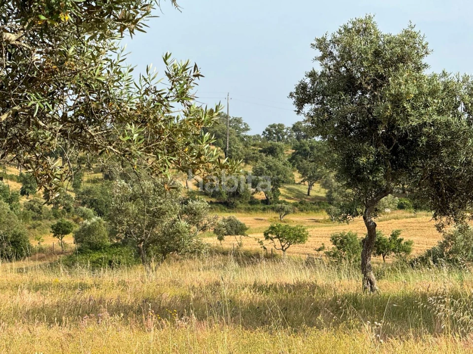 Quinta T2 para Venda em Cercal Foto 31