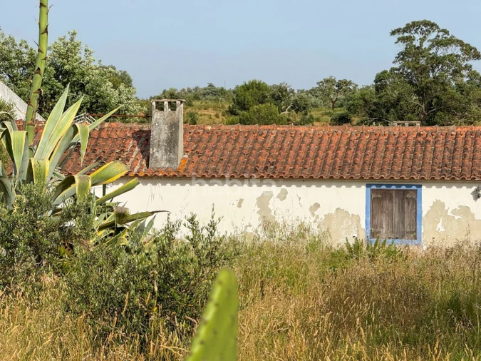 Quinta T2 para Venda em Cercal Foto 3