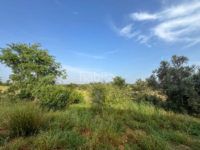 Quinta T2 para Venda em Cercal Foto 26