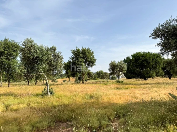 Quinta T2 para Venda em Cercal Foto 28