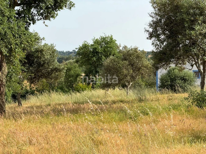 Quinta T2 para Venda em Cercal Foto 30