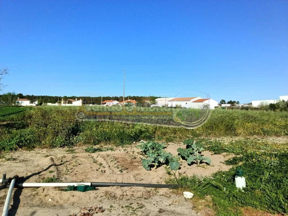 Terreno para Venda em Salvaterra de Magos e Foros de Salvaterra Foto 3