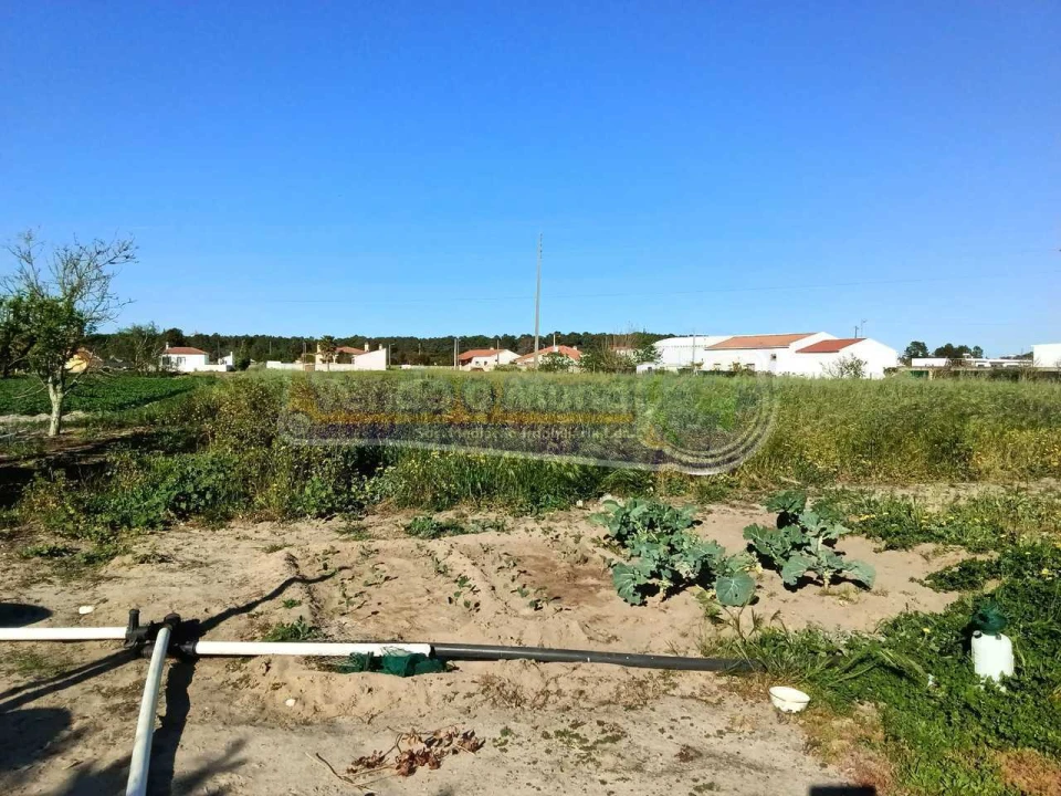 Terreno para Venda em Salvaterra de Magos e Foros de Salvaterra Foto 1