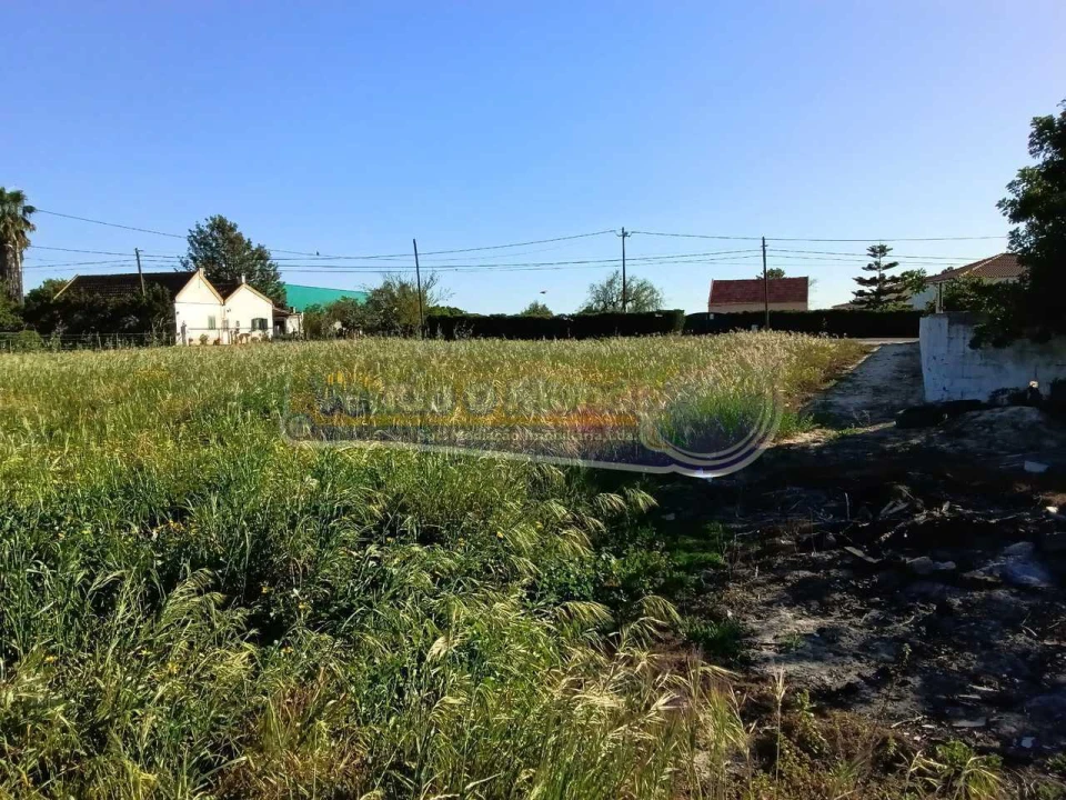 Terreno para Venda em Salvaterra de Magos e Foros de Salvaterra Foto 4