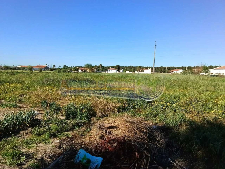 Terreno para Venda em Salvaterra de Magos e Foros de Salvaterra Foto 5