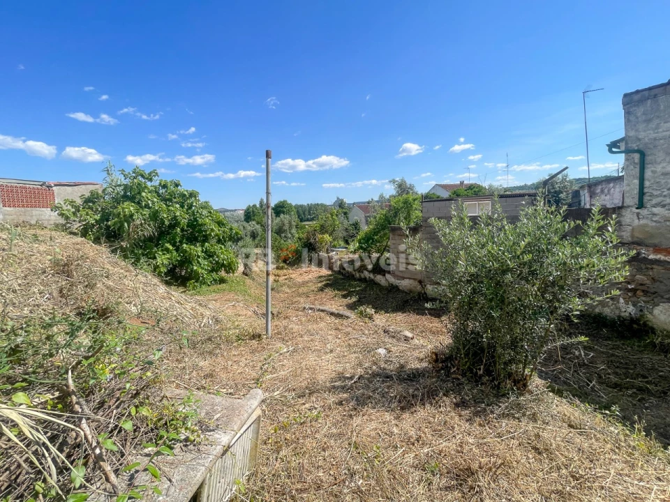 Terreno para Venda em Abrantes (São Vicente e São João) e Alferrarede Foto 9