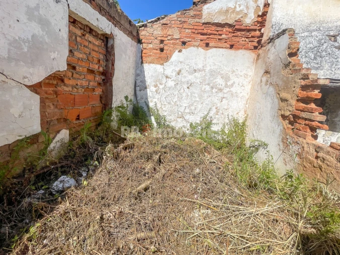Terreno para Venda em Abrantes (São Vicente e São João) e Alferrarede Foto 12