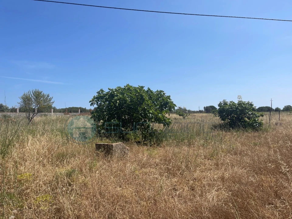 Terreno Misto para Venda em Bensafrim e Barão de São João Foto 2