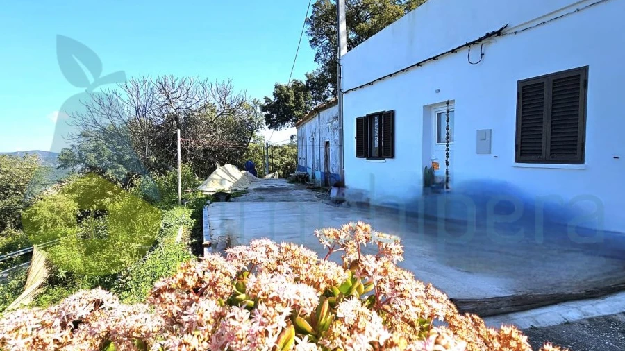 Imagem imóvel
