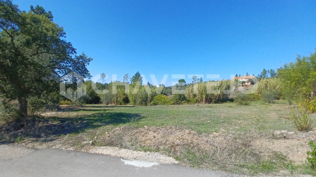Terreno para Venda em São Pedro de Tomar Foto 3